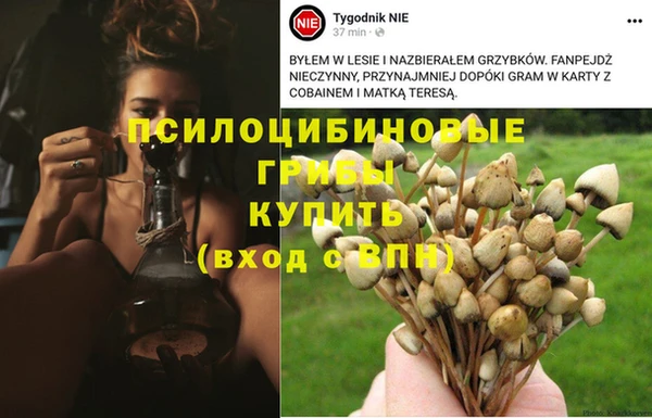 кокаин VHQ Абаза